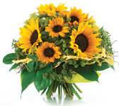 Szanowni Nauczyciele, Wychowawcy, Pracownicy Oświaty