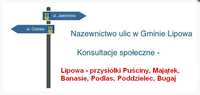 Konsultacje społeczne w sprawie wprowadzenia nazw ulic w miejscowości Lipowa cd