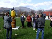 Znamy gwiazdy i nowości "Święta Śliwki i Dni Lipowej"