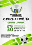 Turniej o Puchar Wójta Gminy Lipowa już w sobotę