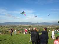 Latawce poszybowały w Ostrem!