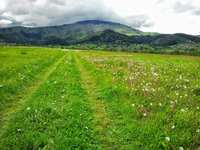 Rower najlepszym sposobem na zwiedzanie Gminy Lipowa