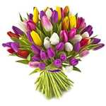 Życzenia z okazji Dnia Kobiet