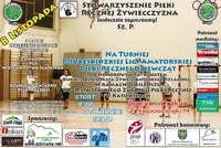 Turniej ręcznej w Żywcu z odznaczeniem