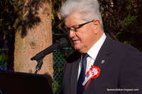 Uroczystości 11 listopada.