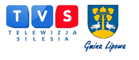 Gmina Lipowa w TVS