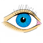 Komputerowe badania wzroku