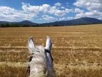 Wywiady z grudniowego numeru „Echa Gminy Lipowa”.