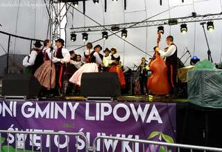 Śliwkowa Lipowa 2016